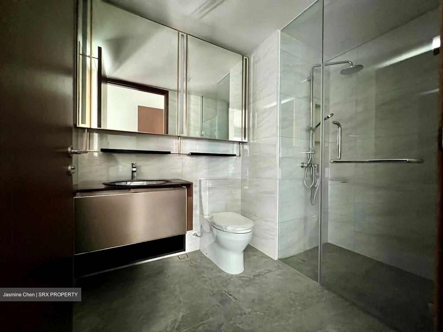 Normanton Park (D5), Apartment #556790661